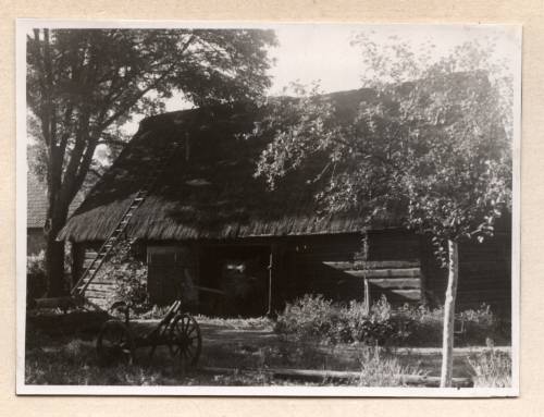        Zdj: 7 
Dodane: 2005.10.9