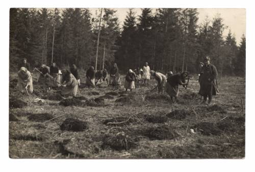 Zdj: 41
Dodane: 2005.10.9