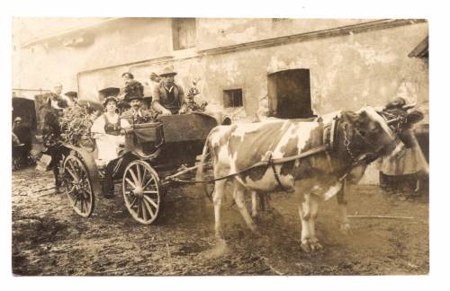 Zdj: 44
Dodane: 2005.10.9