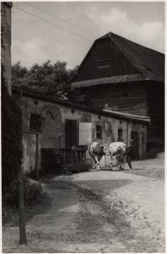        Zdj: 112 
Dodane: 2005.10.9