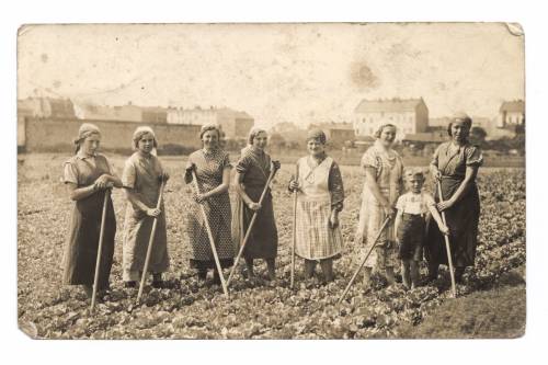 Zdj: 118
Dodane: 2005.10.9