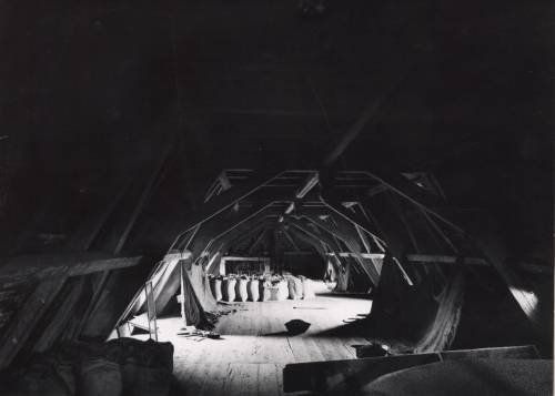 Zdj: 136
Dodane: 2005.10.9