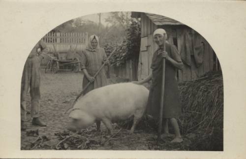 Zdj: 151
Dodane: 2005.11.18