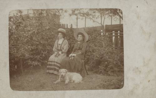 Zdj: 159
Dodane: 2005.11.21