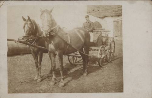 Zdj: 166
Dodane: 2005.11.22