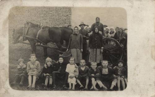 Zdj: 185
Dodane: 2005.11.28