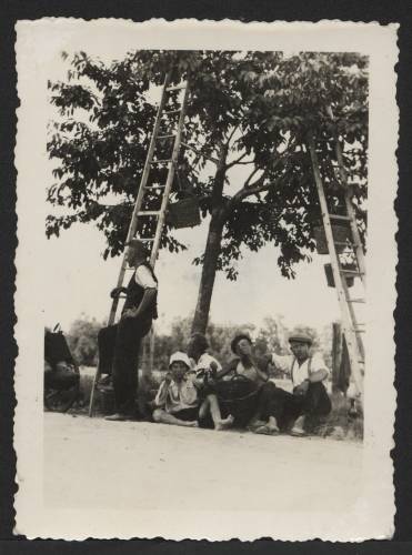 Zdj: 211
Dodane: 2005.12.6