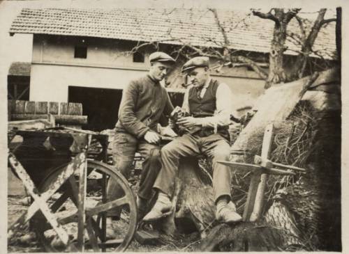 Zdj: 216
Dodane: 2005.12.8