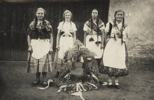 Zdj: 217
Dodane: 2005.12.8