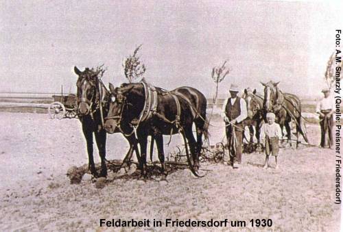 Zdj: 222
Dodane: 2005.12.8