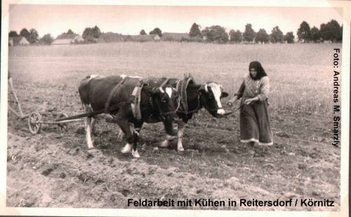 Zdj: 223
Dodane: 2005.12.8