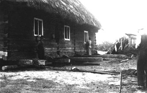 Zdj: 234
Dodane: 2005.12.12