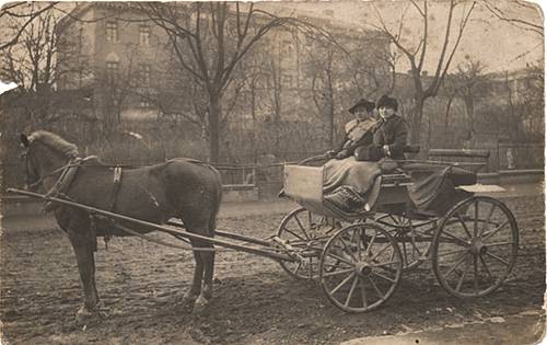 Zdj: 263
Dodane: 2005.12.13