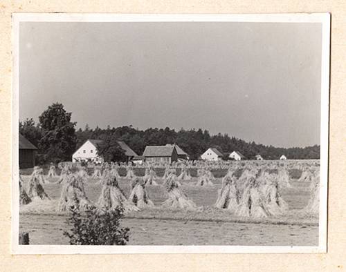 Zdj: 305
Dodane: 2005.12.23