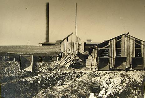        Zdj: 329 
Dodane: 2006.01.3