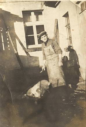        Zdj: 17 
Dodane: 2005.10.9