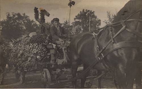        Zdj: 335 
Dodane: 2006.01.3