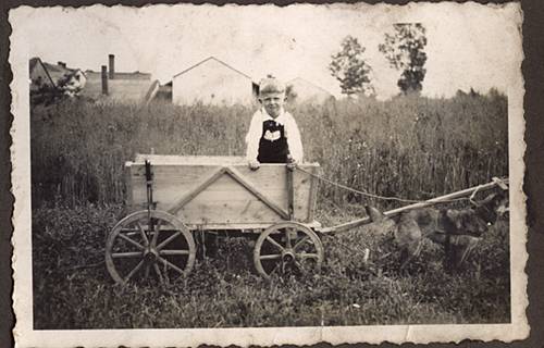 Zdj: 359
Dodane: 2006.01.5