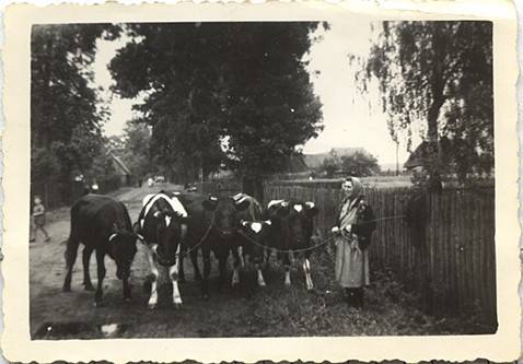        Zdj: 74 
Dodane: 2005.10.9