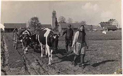        Zdj: 81 
Dodane: 2005.10.9