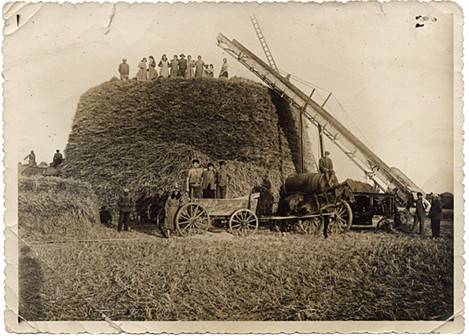        Zdj: 87 
Dodane: 2005.10.9