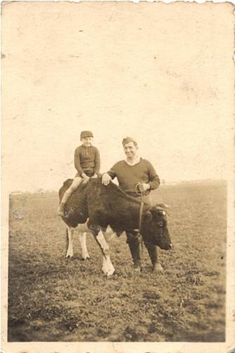 Zdj: 473
Dodane: 2006.02.27