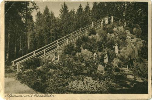 Zdj: 494
Dodane: 2006.05.12