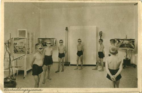 Zdj: 515
Dodane: 2006.05.22