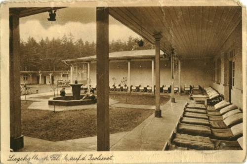 Zdj: 521
Dodane: 2006.05.23