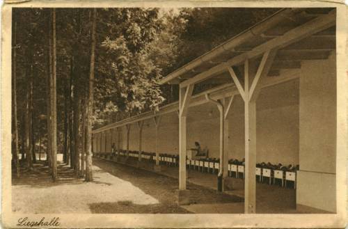 Zdj: 529
Dodane: 2006.05.23