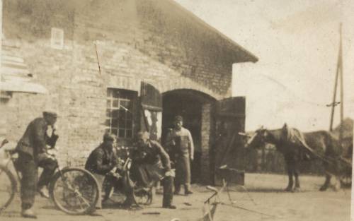 Zdj: 533
Dodane: 2006.07.21