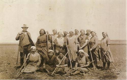 Zdj: 547
Dodane: 2006.08.1