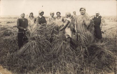 Zdj: 549
Dodane: 2006.08.2