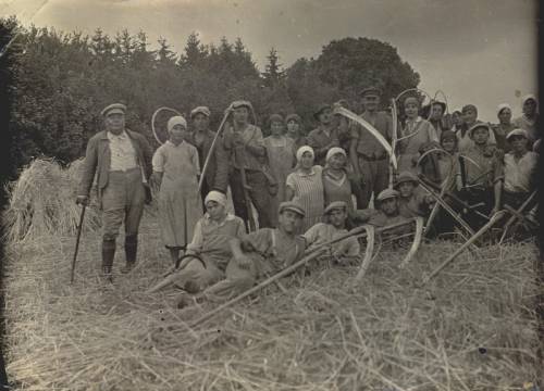        Zdj: 586 
Dodane: 2007.05.10