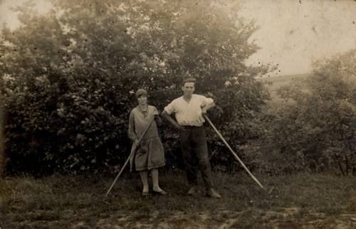        Zdj: 587 
Dodane: 2007.05.10