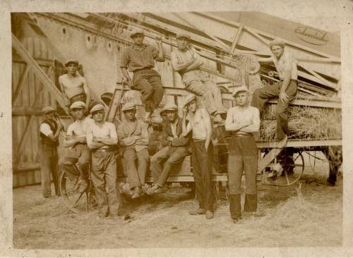 Zdj: 593
Dodane: 2007.07.18