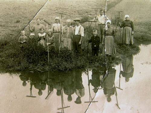 Zdj: 605
Dodane: 2007.12.6