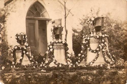 Zdj: 608
Dodane: 2007.12.6