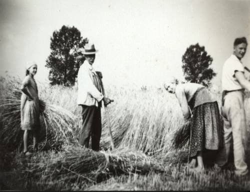 Zdj: 640
Dodane: 2007.12.11