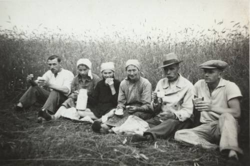 Zdj: 641
Dodane: 2007.12.12