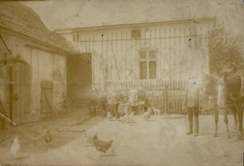 Zdj: 654
Dodane: 2007.12.13