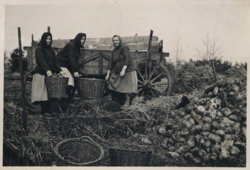 Zdj: 667
Dodane: 2007.12.19