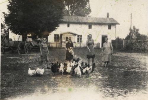        Zdj: 668 
Dodane: 2007.12.19