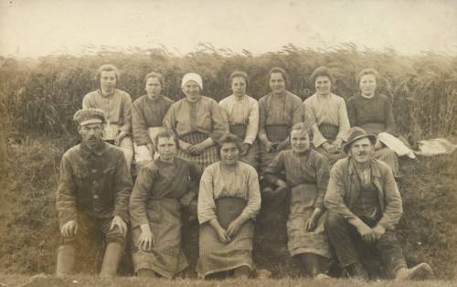        Zdj: 709 
Dodane: 2008.03.18