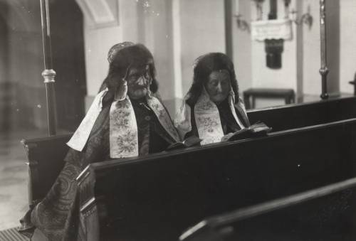 Zdj: 762
Dodane: 2008.04.11