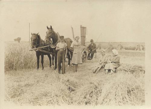 Zdj: 621
Dodane: 2007.12.7