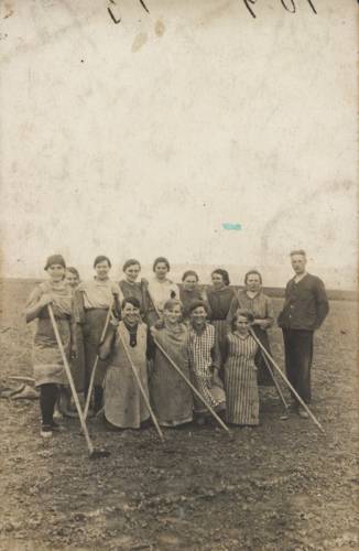 Zdj: 771
Dodane: 2008.05.30