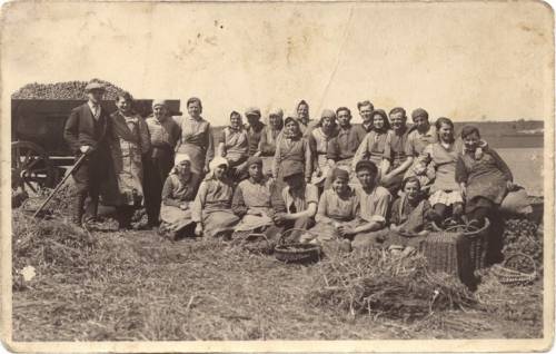 Zdj: 86
Dodane: 2005.10.9