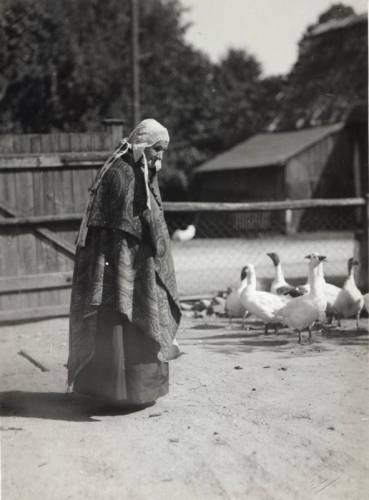        Zdj: 782 
Dodane: 2008.07.8