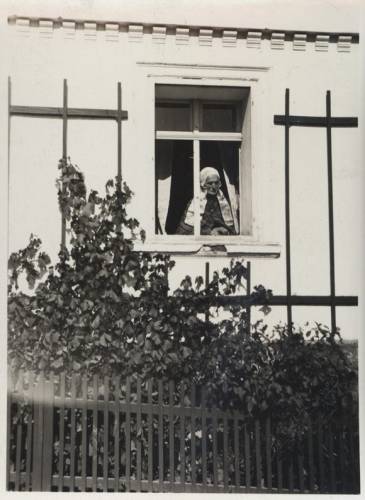 Zdj: 787
Dodane: 2008.07.8